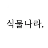 식물나라